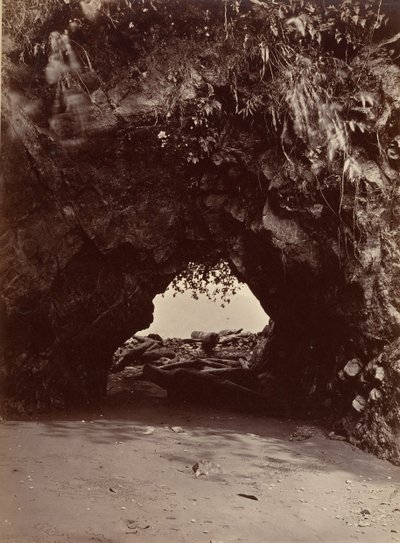 热带风光，自然拱门，库比卡湾，1871年。 作者 约翰·莫兰