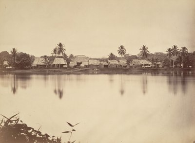 热带风光，圣玛丽亚-德尔-雷阿尔，达里安，1871年。 作者 约翰·莫兰