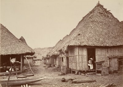 热带风光，街道，Chipigana，1871年。 作者 约翰·莫兰