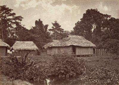 热带风光，图尔沃村，1871年。 作者 约翰·莫兰