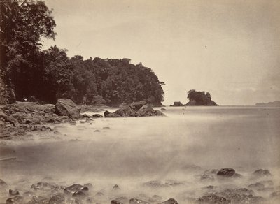 热带风光，利蒙湾的景色，1871年。 作者 约翰·莫兰