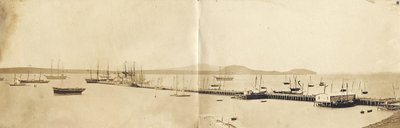奥克兰港，1865年（蛋白印刷品） 作者 约翰·尼科尔·克朗比