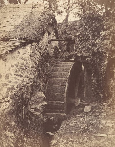 北德文郡林顿附近的新磨坊，1856年。 作者 约翰·珀西