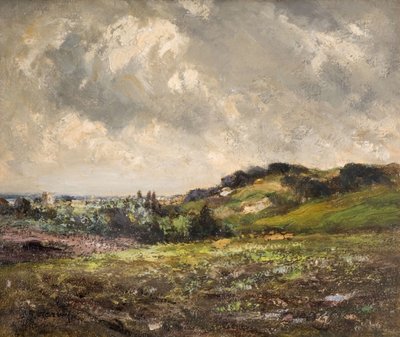 风云山庄，1880-1930。 作者 约翰·拉本·哈维