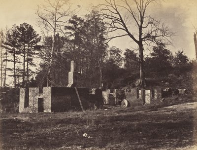 弗吉尼亚州盖恩斯米尔遗址，1865年4月（蛋白印刷品安装在编织纸上） 作者 约翰·里基