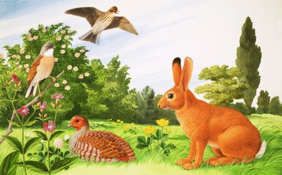 在田野的一角 作者 约翰·里格纳尔