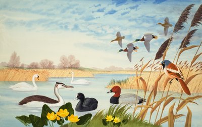 自然风光（水粉画纸） 作者 约翰·里格纳尔
