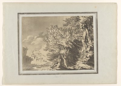 比克
山毛榉
Verschillende soorten bomen（系列标题）
林木的一般特征、枝干和叶片描绘（系列标题） 作者 约翰·罗伯特·科森斯