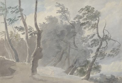 阿尔巴诺索普拉广场画廊（石墨和w - c在纸上） 作者 约翰·罗伯特·科森斯