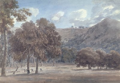 Il Parco da Degle&39;Astroni  -  1783年狩猎进行中的树木繁茂的陨石坑底部（石墨和纸上的wc） 作者 约翰·罗伯特·科森斯
