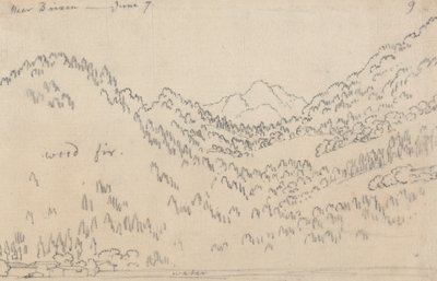 6 月 7 日，比克森附近 作者 约翰·罗伯特·科森斯