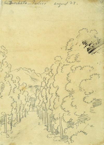 伍德兰，来自一张专辑 作者 约翰·罗伯特·科森斯