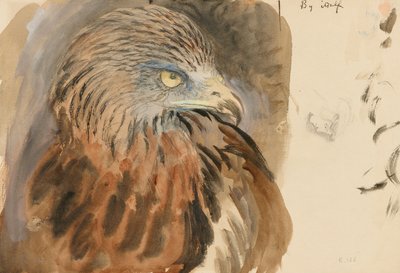 1870年8月30日至9月1日，生活中的风筝头（浅褐色编织纸上石墨上的水彩和人体彩绘） 作者 约翰·拉斯金