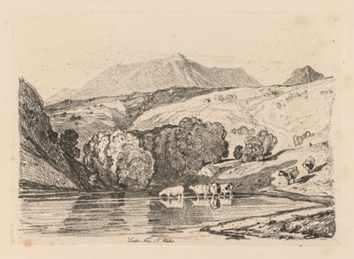 研究自由板15是下跌，虹膜，北威尔士，1838。 作者 约翰·塞尔·科特曼
