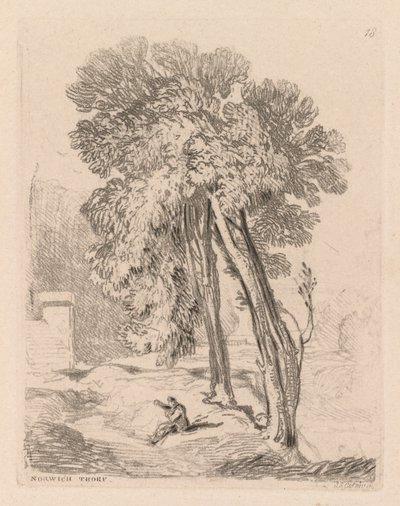 研究都是免费的板块在诺维奇索普，诺福克，1838 18棵树。 作者 约翰·塞尔·科特曼