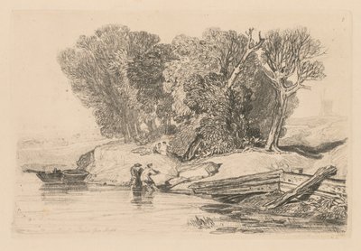 研究是免费的板7，Postwick树丛，诺福克，1838。 作者 约翰·塞尔·科特曼