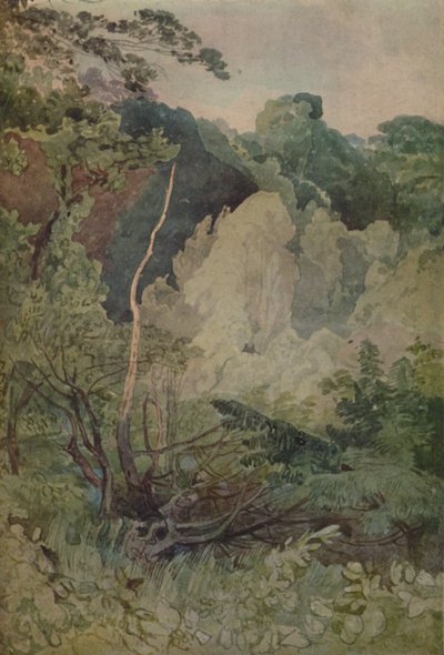 格雷塔河附近的树木，1923年 作者 约翰·塞尔·科特曼