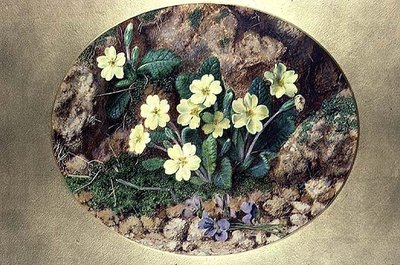报春花和紫罗兰 作者 约翰·舍林