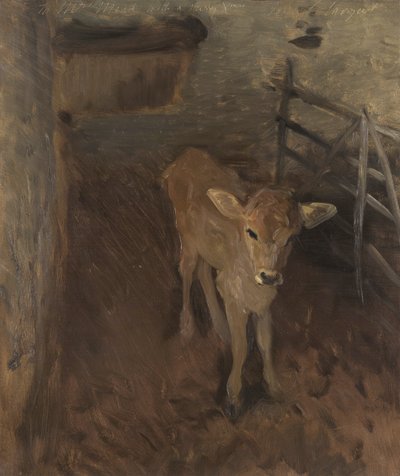 泽西小牛，1893年 作者 约翰·辛格·萨金特