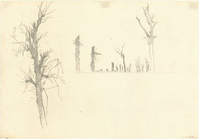 被毁坏的树木[背面]，1918年。 作者 约翰·辛格·萨金特