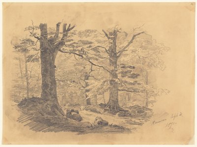 森林，德国拉姆绍，1871年。 作者 约翰·辛格·萨金特