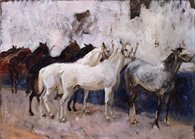 马在帕尔马，马略卡岛，西班牙，1908年 作者 约翰·辛格·萨金特