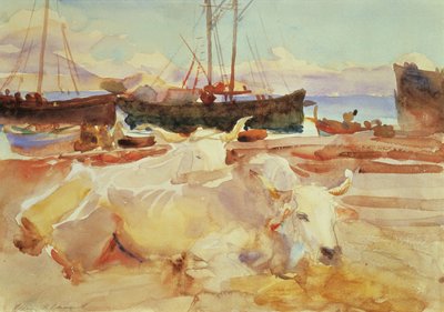拜亚海滩上的黄牛，1908年（纸上写着） 作者 约翰·辛格·萨金特