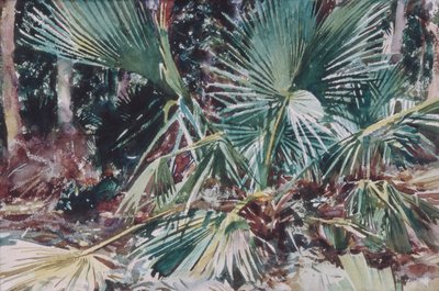 Palmettos，1917年（wc，石墨和白色蜡纸上的蜡笔） 作者 约翰·辛格·萨金特