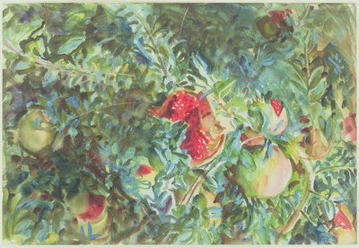石榴，1908年（纸上铅笔） 作者 约翰·辛格·萨金特