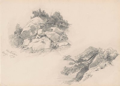 岩石和刷子，Hintersee，德国，1871年（石墨在wover纸上） 作者 约翰·辛格·萨金特