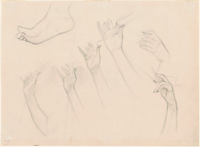 研究 "灰烬之香"。 作者 John Singer Sargent