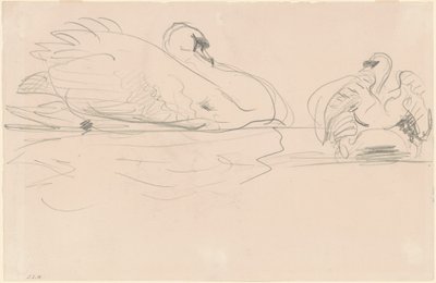 水中的天鹅，1880-1900。 作者 约翰·辛格·萨金特