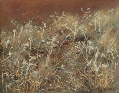 蓟（1885-89） 作者 约翰·辛格·萨金特