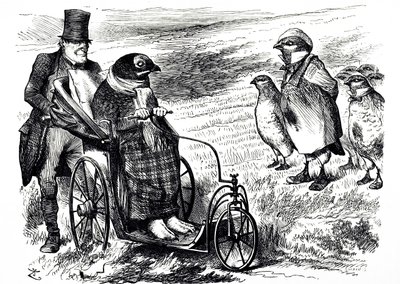 一幅评论暂停松鸡射击的漫画，以使鸡群得以重建。由John Tenniel（1820-1914）绘制，他是英国插画家、图形幽默家和政治漫画家。 作者 约翰·坦尼尔