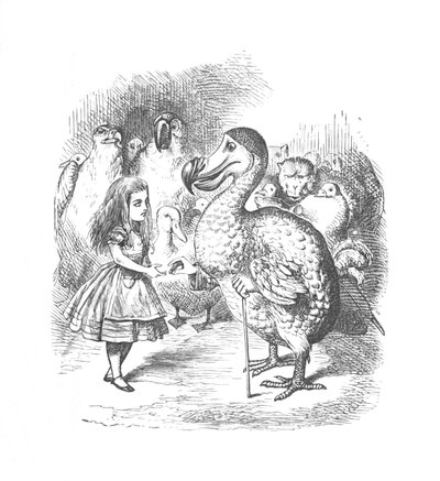 爱丽丝与渡渡鸟，1889年 作者 约翰·坦尼尔