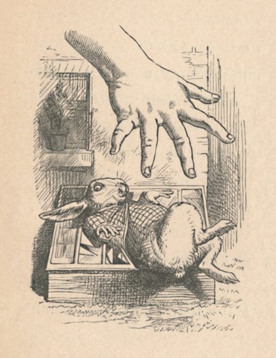爱丽丝把手放到“白兔子”上，1889年 作者 约翰·坦尼尔