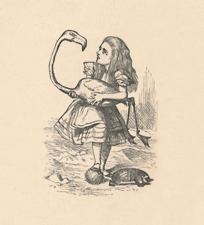 爱丽丝（Alice）尝试用火烈鸟当槌槌打槌球，1889年 作者 约翰·坦尼尔
