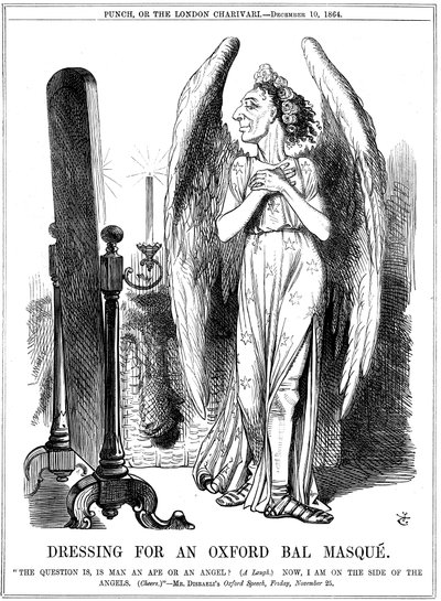 本杰明·迪斯雷利（Benjamin Disraeli），英国保守党，《拳》动画片，1864年 作者 约翰·坦尼尔