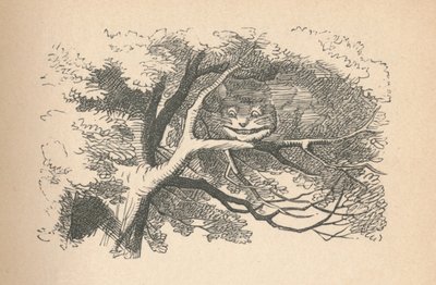 柴郡猫（Cheshire Cat）开始消失，他的笑容最后消失，1889年 作者 约翰·坦尼尔