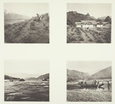 茶厂；茶厂；延平激流；小快艇 作者 约翰汤姆森