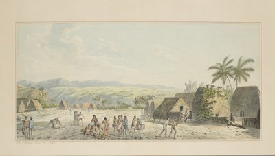 19：来自Atooi的内陆视图，来自一系列水彩画，展示库克船长的最后一次航行，c.1773-84 作者 约翰·韦伯