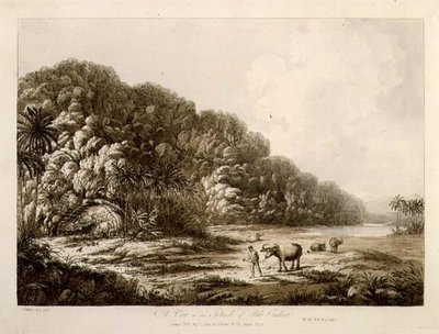 Pulo Condore岛的风景，出自《南海风景》，出版。1792年（蚀刻画） 作者 约翰·韦伯