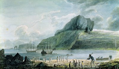在Kerguelen的土地，1781-4圣诞港口的视图 作者 约翰·韦伯