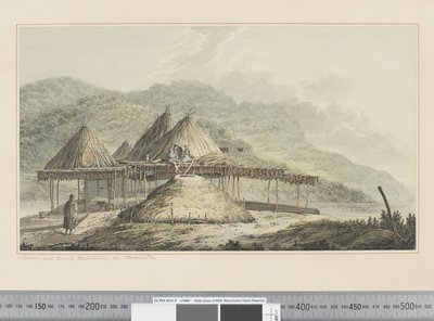 F.42 堪察加的夏季和冬季栖息地，c.1783-84（水彩） 作者 约翰·韦伯