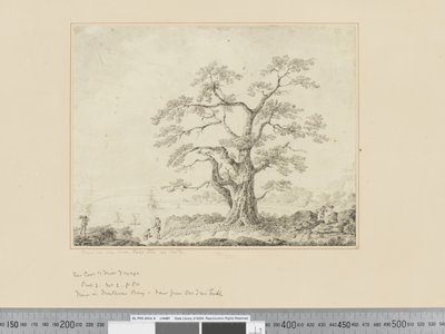 F.44 View on Sea Shore, large tree in centre, c.1783-84 作者 约翰·韦伯