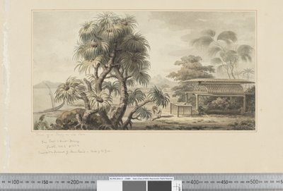 F.46 View of a Tomb on Sea Shore, c.1783-84 (watercolor) 作者 约翰·韦伯