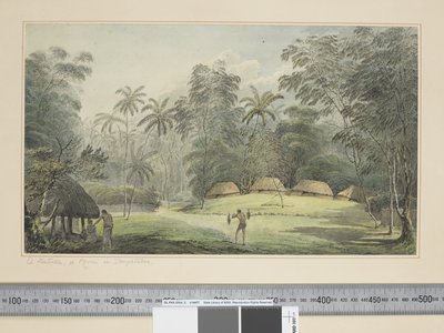 F.8 汤加塔布的菲亚图卡或莫莱，约 1773-84 年（水彩） 作者 约翰·韦伯