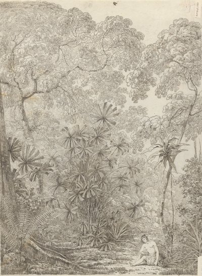 喀拉喀托的扇形棕榈 作者 约翰·韦伯