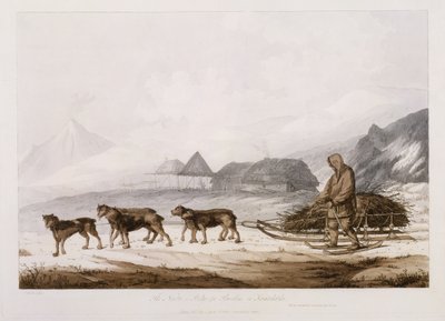 Narta，或Kamtschatka的负担雪橇，来自“南海的景色”，酒吧。 1789年 作者 约翰·韦伯