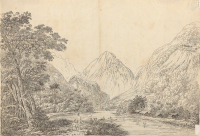 奥塔海特奥海特佩哈湾景观 作者 约翰·韦伯